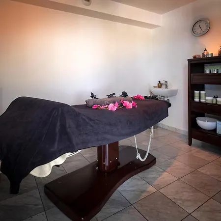Du Parc, Restaurant, & Wellness Отель Нидербронн-ле-Бен