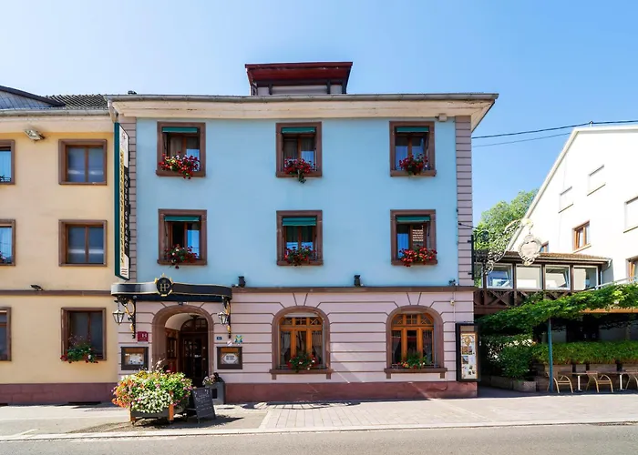 Hotel Du Parc, Restaurant, & Wellness Niederbronn-les-Bains